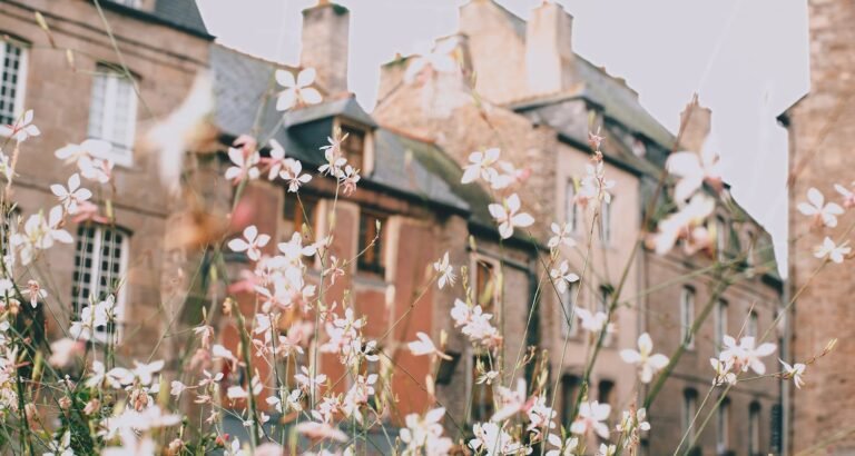 The Best Investing Advice You Can Get