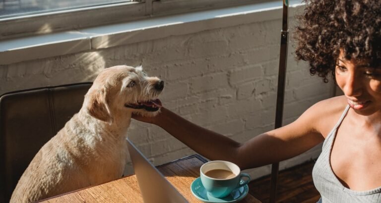 What You Should Know When Searching For Jobs