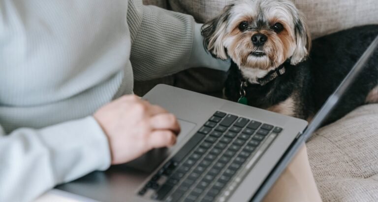 Proven And Time-Tested Employment Tips And Advice